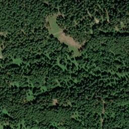 Satellite imagery of Mitterwachsbichel, DE