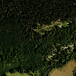 Satellite imagery of Messnerberg, DE