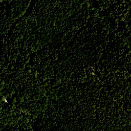 Satellite imagery of Rauhenberg, DE