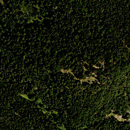 Satellite imagery of Rauhenberg, DE