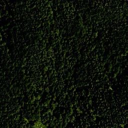 Satellite imagery of Hohenwiesner Berg, DE