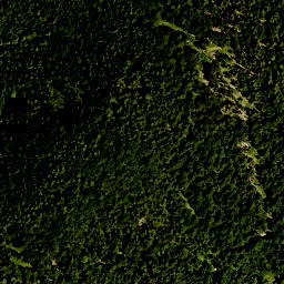 Satellite imagery of Zweipfennigberg, DE