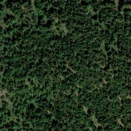 Satellite imagery of Zwieselberg, DE