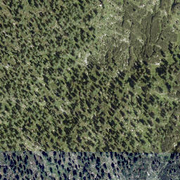 Satellite imagery of Walcherkopf, AT