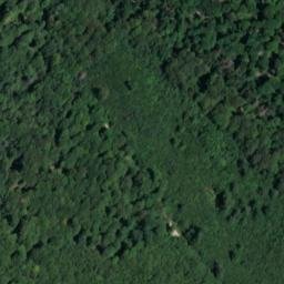 Satellite imagery of 1891, CH