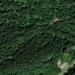 Satellite imagery of Wachsbichl, DE