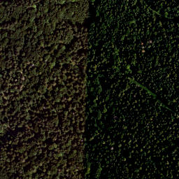 Satellite imagery of Pfaffenwände, DE