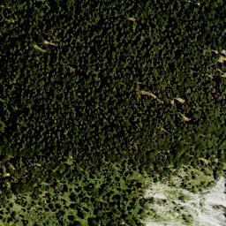 Satellite imagery of Kirchelwand, DE