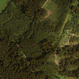 Satellite imagery of Burg Heimhofen, CH