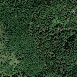 Satellite imagery of Wachsbichl, DE