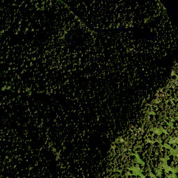 Satellite imagery of Pfaffenwände, DE