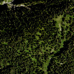 Satellite imagery of Martinskopf, DE