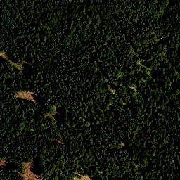 Satellite imagery of Hoher Zwiesler, DE