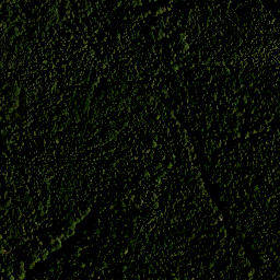 Satellite imagery of Hoher Zwiesler, DE