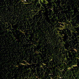 Satellite imagery of Hoher Zwiesler, DE