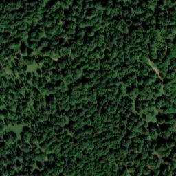 Satellite imagery of Schildenstein, DE
