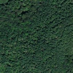 Satellite imagery of S 67 — NGS SX0847 — King County, US, US