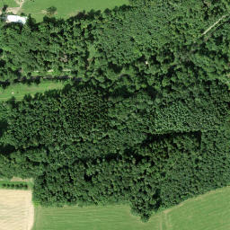 Satellite imagery of Schloss Altenklingen, CH