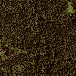 Satellite imagery of Nickelskopf, DE