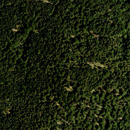 Satellite imagery of Fischberg, DE