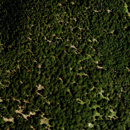 Satellite imagery of Hoher Zwiesler, DE