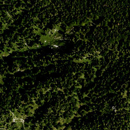 Satellite imagery of Brunstlahner Kopf, DE