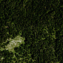 Satellite imagery of Brunstlahner Kopf, DE
