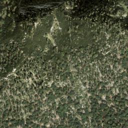 Satellite imagery of Elferkogel, AT