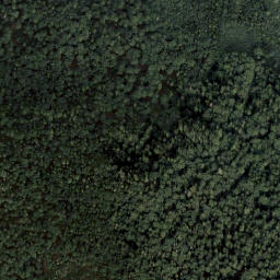 Satellite imagery of Niedere Radling, AT