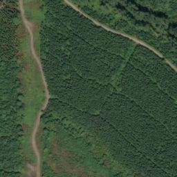 Satellite imagery of BONNIE — NGS SX1474 — King County, US, US