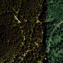 Satellite imagery of Schwabenkopf, DE