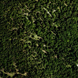 Satellite imagery of Fischberg, DE