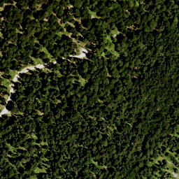 Satellite imagery of Hoher Zwiesler, DE