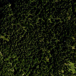 Satellite imagery of Brandkopf, DE