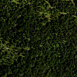 Satellite imagery of Brunstlahner Kopf, DE