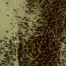 Satellite imagery of Rieselsberg, DE