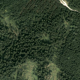 Satellite imagery of Pass Gschütt, AT