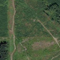 Satellite imagery of BONNIE — NGS SX1474 — King County, US, US
