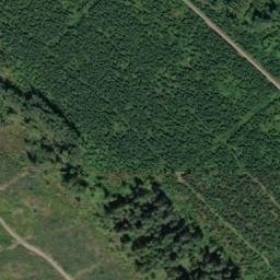 Satellite imagery of BONNIE — NGS SX1474 — King County, US, US