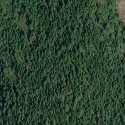 Satellite imagery of Gray Wolf Mine, US