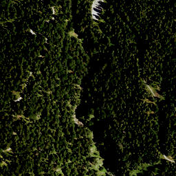 Satellite imagery of Sattmannsberg, DE