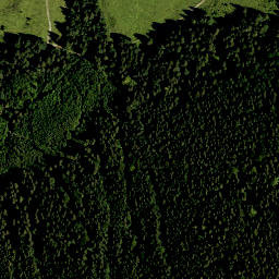 Satellite imagery of Wilfetsberg, DE