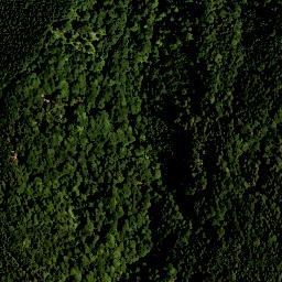 Satellite imagery of Wilfetsberg, DE