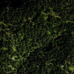 Satellite imagery of Brandkopf, DE