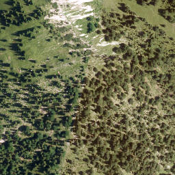 Satellite imagery of Rieselsberg, DE