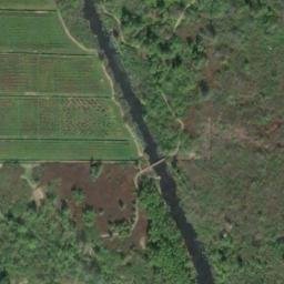 Satellite imagery of U 384 — NGS SY0186 — Bellevue, US, US