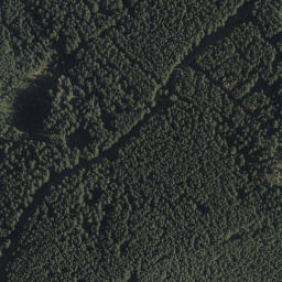 Satellite imagery of Genzstein Bayern / Tirol, CH