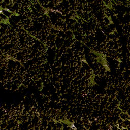 Satellite imagery of Lobberg, DE