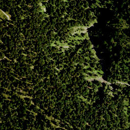 Satellite imagery of Sattmannsberg, DE