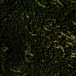 Satellite imagery of Grießberg, DE